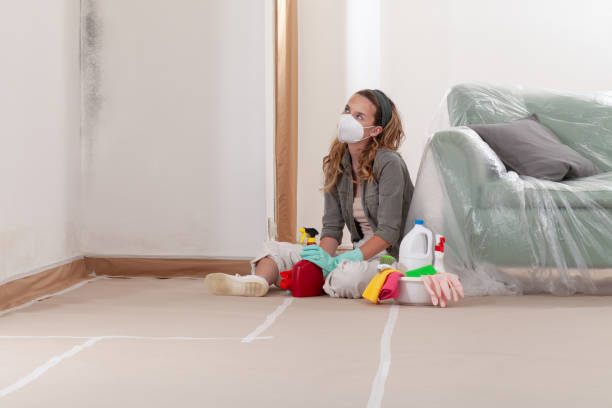 Reliable Mold Inspection contractor in Wayzata, MN by WQB Mold Removal